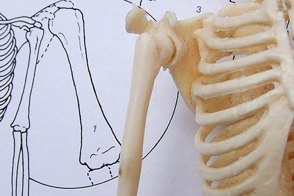 Tarih öncesi kadınlar modern sporculardan daha güçlüydü