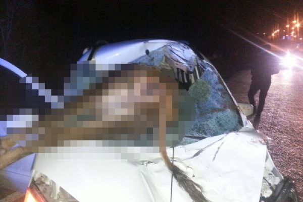 Otomobil ineğe çarptı: 2 kişi yaralandı