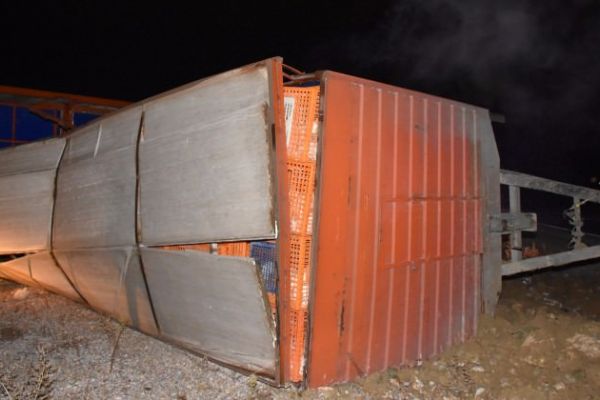 Balıkesir'de tavuk yüklü kamyon takla attı! Tavuklar telef oldu