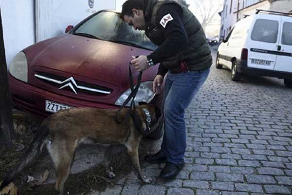 Yunan polisi Cumhurbaşkanı Erdoğan için teyakkuz halinde