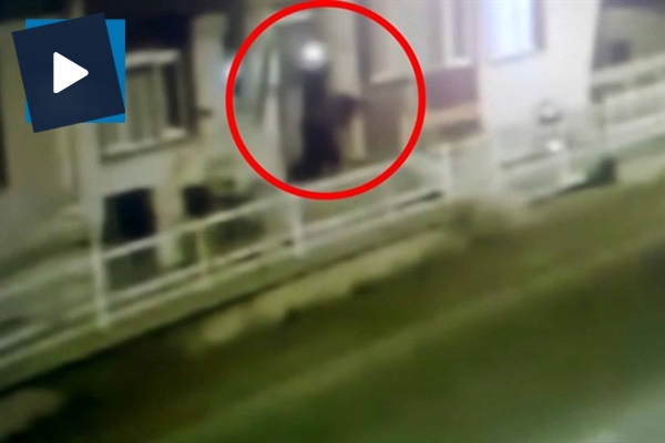 Annesini taciz eden adamı pompalıyla öldürdü