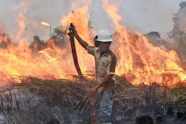 Endonezya umudu yağmura bağladı