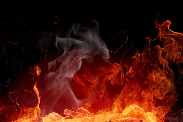 Atatürk Orman Çiftliği'nde yangın