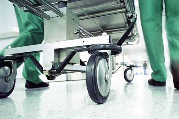 İstanbul’da zehirli mantar dehşeti: 2 ölü