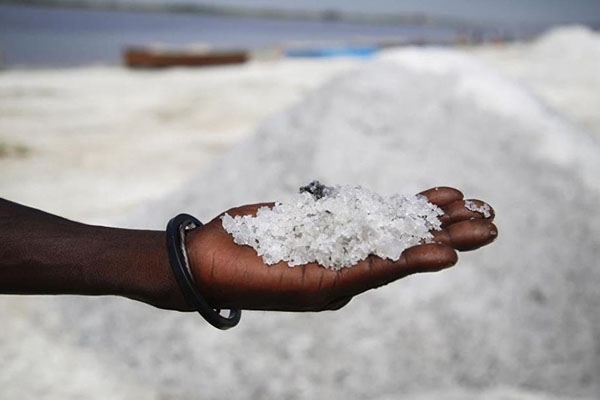 Gelir kaynakları 'tuz'