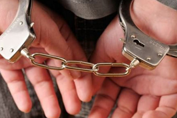 PKK'nın Ceylanpınar sorumlusu yakalandı