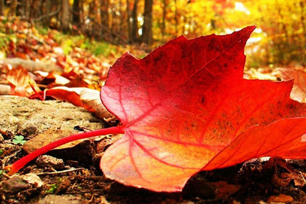 Bugün hava nasıl olacak?