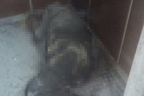 Çürümüş erkek cesedi bulundu