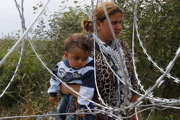 Sığınmacılara 'dikenli tel' önlemi