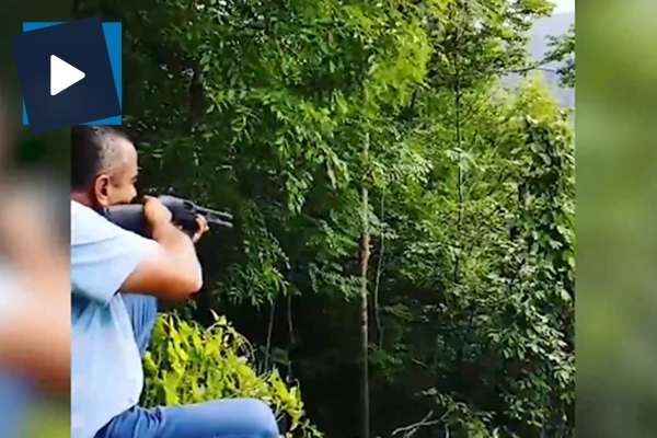 Pompalıyla ağaç budayan adam