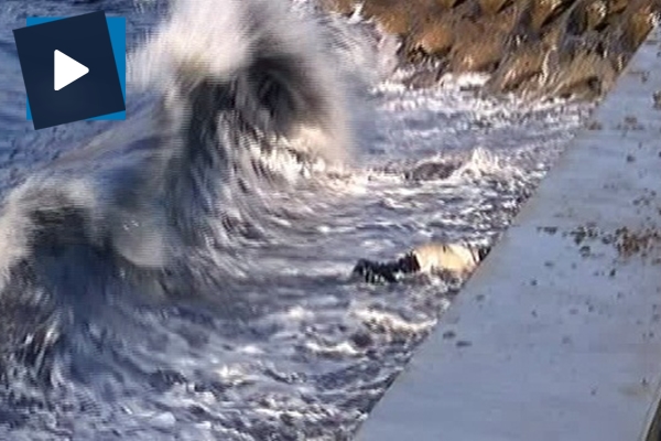 Kadıköy'de sıcak saatler! Denizden ceset çıktı...