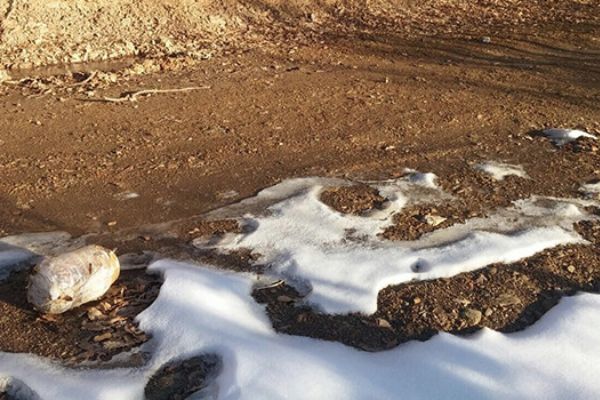 Bitlis'te 3 adet EYP imha edildi!