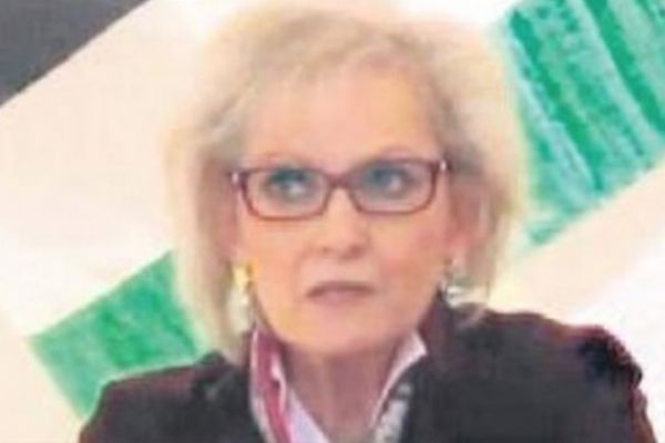 Erdoğan'a Almanya'dan destek