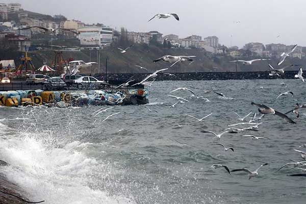 Marmara Denizi'nde ulaşıma lodos engeli