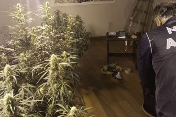 Adana'da uyuşturucu operasyonu!