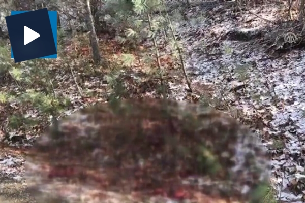 Kastamonu'da kayıp ailenin cesetleri bulundu!