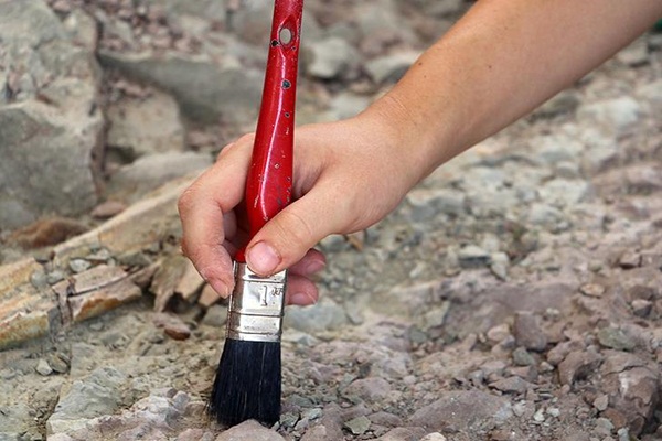 Tespit edildi: 1 milyar yaşında