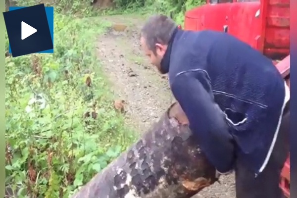 150 kiloluk kütük tek başına nasıl kamyona yüklenir?