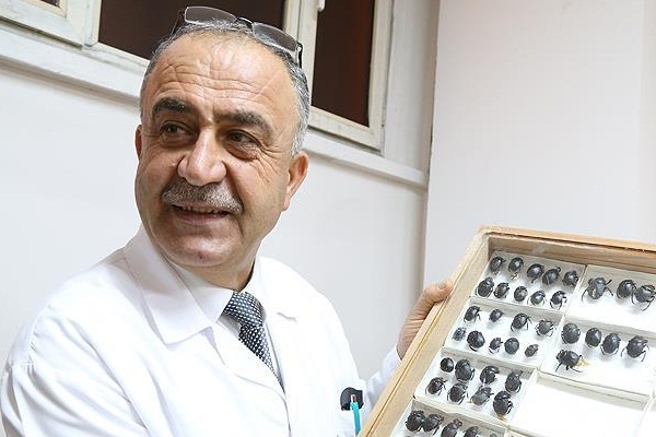 Literatüre kazandırdığı böceğe babasının adını verdi