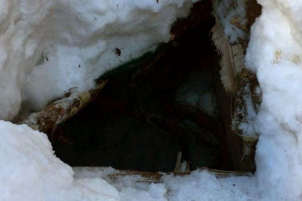 Tunceli'de terör operasyonu düzenlendi