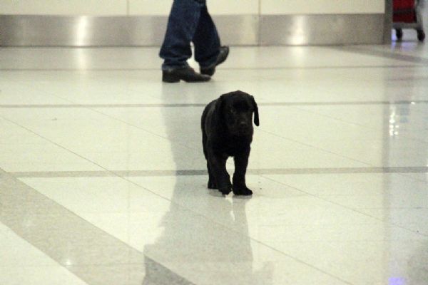 O, Atatürk Havalimanı'nda ilgi odağı oldu