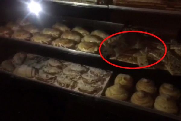 Fare görüntülerinin ardından pastane kapatıldı