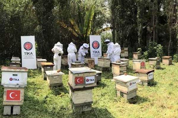 TİKA'dan Tunuslu kadın ve gençlere destek