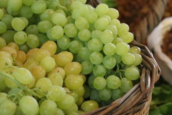 Geçen ay en çok yaş üzümün fiyatı arttı