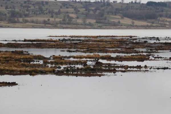 Samsun’da bulunan Ladik Gölü tehlike altında