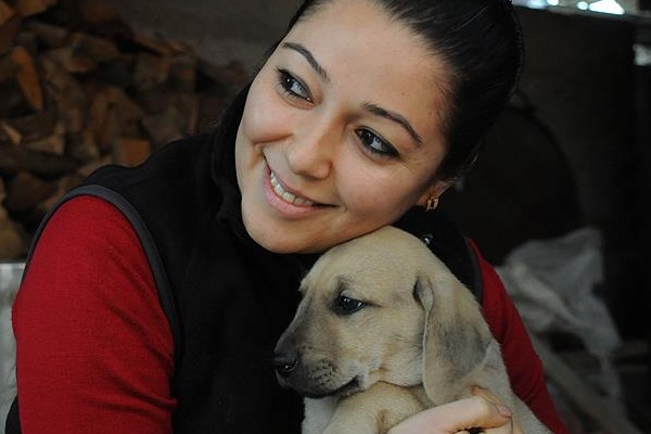 Sahipsiz yavru köpeklere 'talep yağıyor'