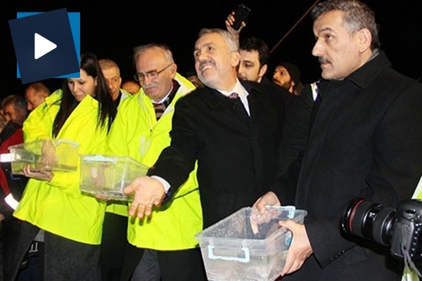 Bakan Demircan ve Fakıbaba denize kalkan yavrusu bıraktı