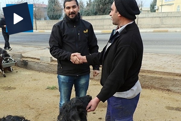 Twitter'da 1 milyon takipçiye ulaştı, kurban kesti