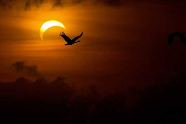 2018'de 3 güneş, 2 ay tutulması var