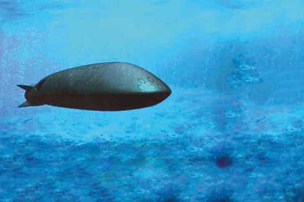 Rusya nükleer drone üretti!