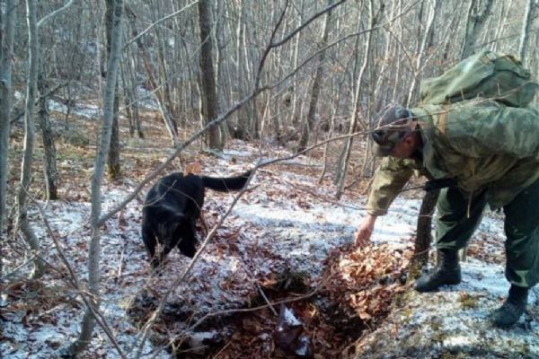 Tokat'ta PKK sığınağı bulundu!