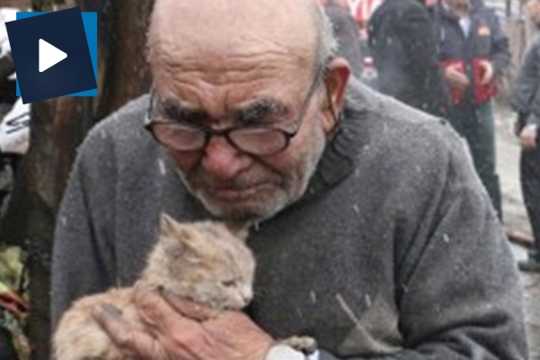 Yanan evine değil kedilerine üzülen güzel insan