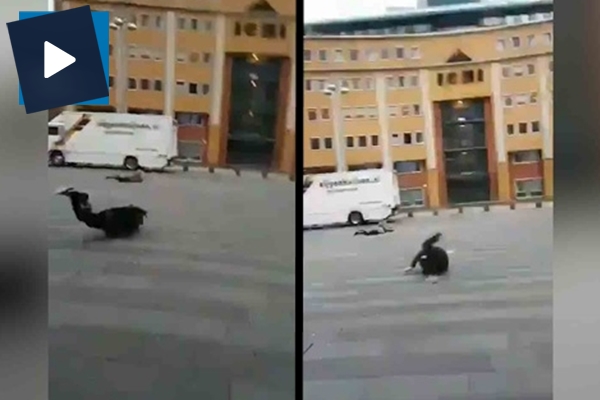 Fırtına yolda yürüyen insanları yerden yere vurdu!