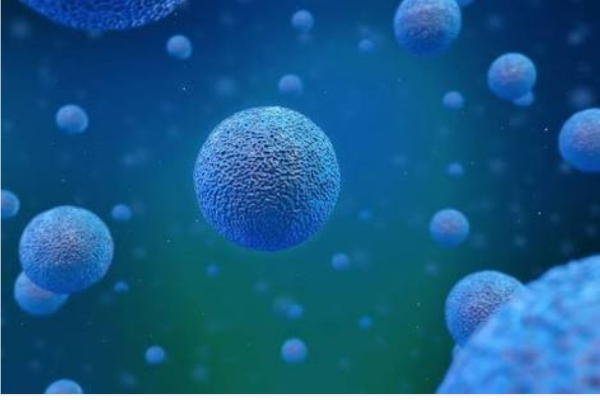 Sıradan' deri hücresinden 'doğurgan' kök hücre