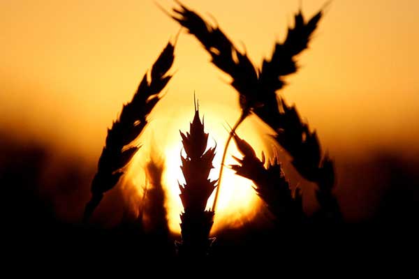 Rusya ve Türkiye'den bir ilk: Bitcoin'le ödeme yapıldı