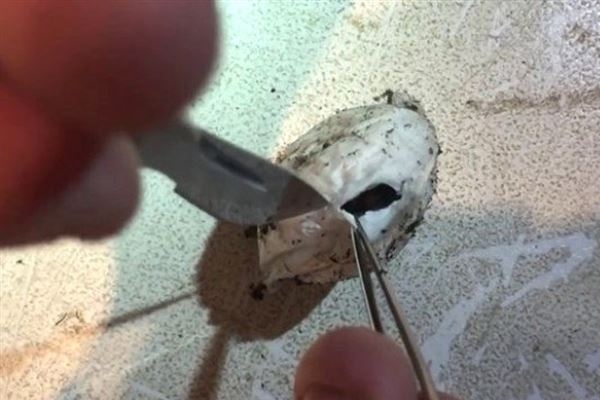 Bulduğu kesenin içindekiler şaşkına çevirdi