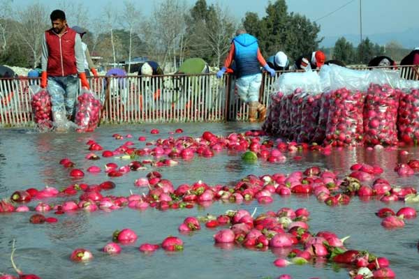 Soğuk suda ekmek mücadelesi