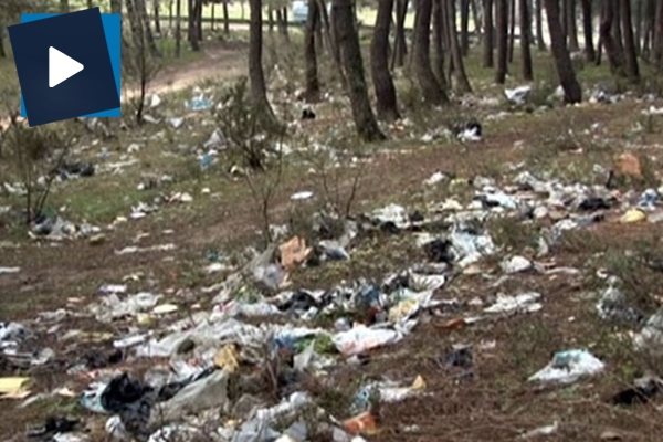 Kartal'da ormanlık alanda çevre katliamı havadan görüntülendi