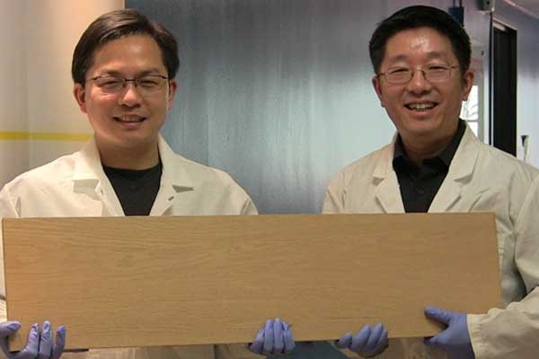 Kurşun geçirmez tahta geliştirdiler