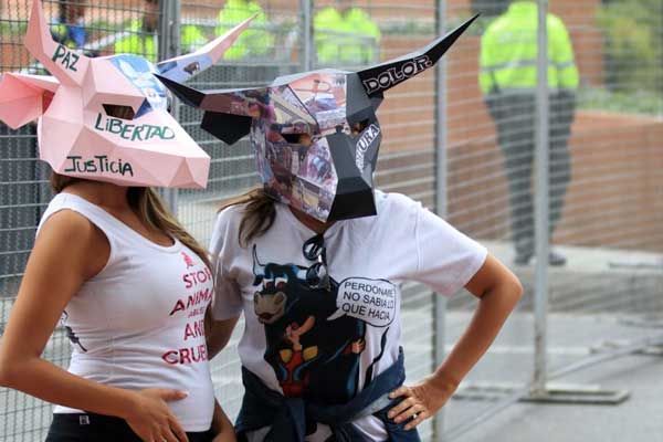 Kolombiya'da boğa güreşi protesto edildi