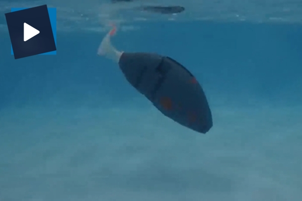 Askeri amaçlı kullanılabilecek 'Robot Balık' üretildi