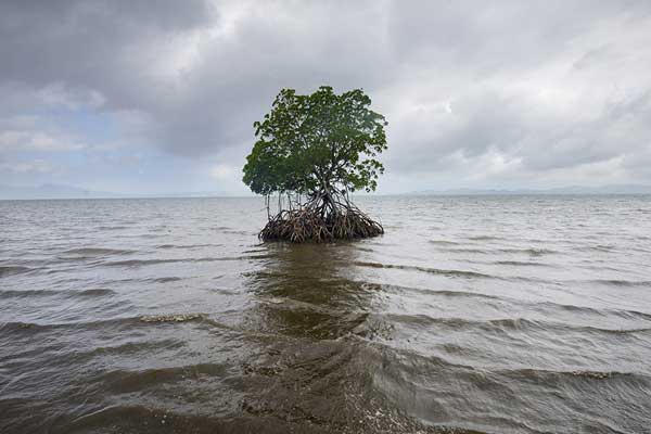 Dünyanın suyu kaynıyor
