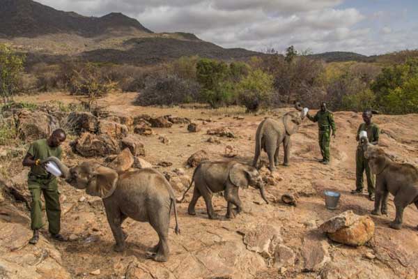 2018 World Press Photo finalistleri belli oldu