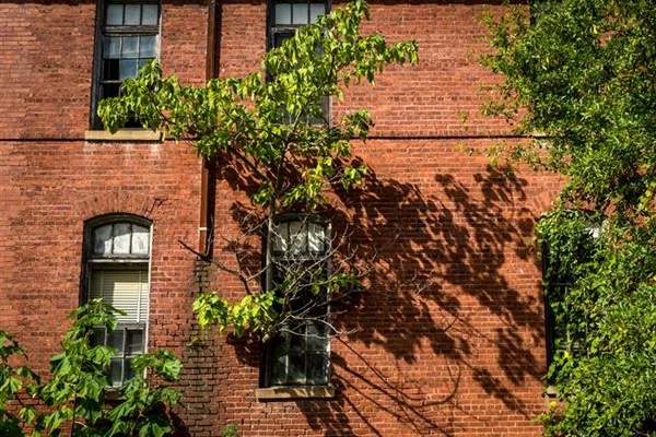 Terk edilmiş bölgelerin son hali