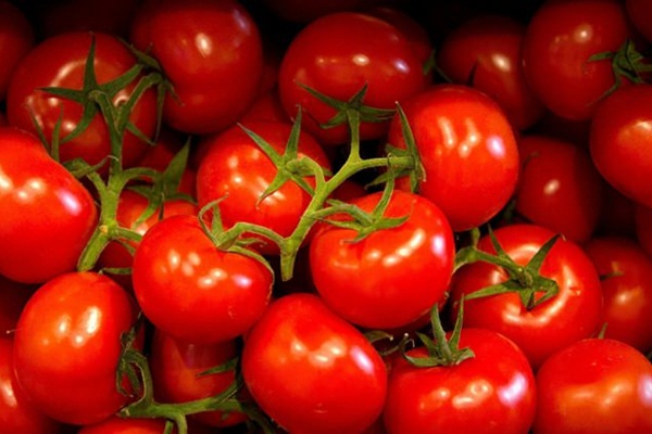 Rusya'dan domates açıklaması