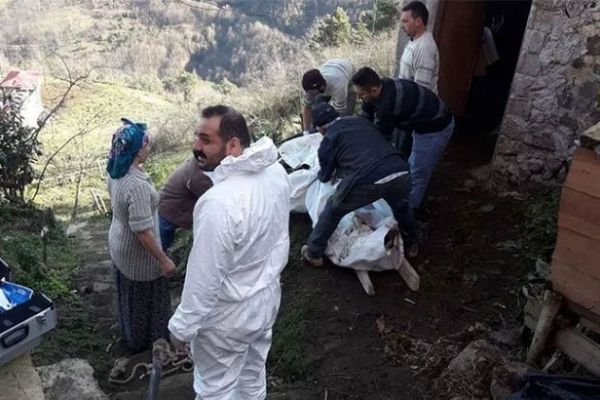 Trabzon'da ikinci şarbon vakası